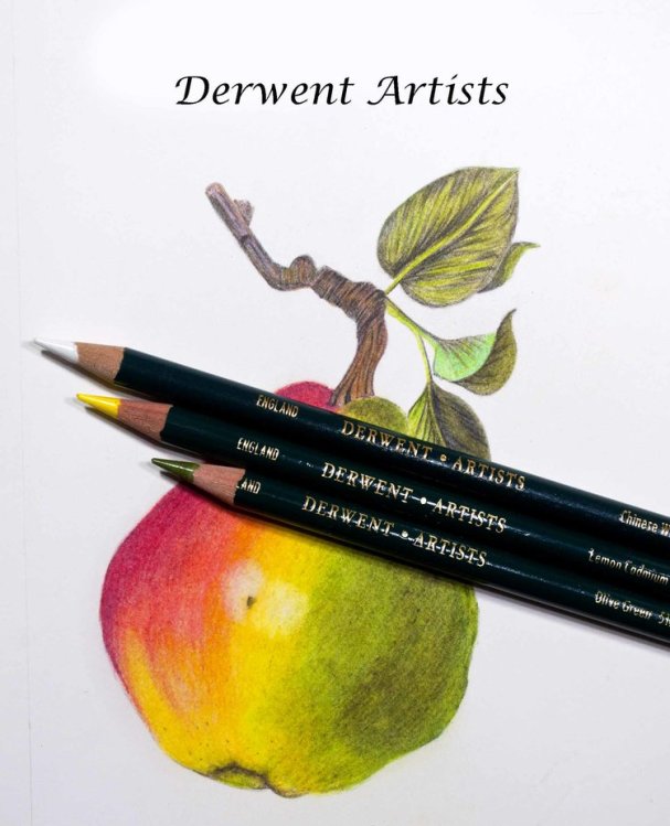 ��������� ��������� ������� ���������� �� Derwent (��������������)