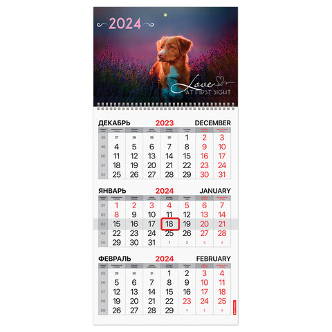 ��������� ����������� �� 2024 �. BRAUBERG, ″�������″