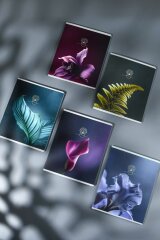 �������, �5+, 48 �, ������ ������� (2 �����), ������� ���������