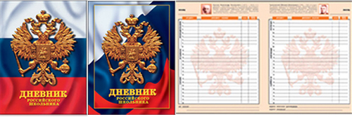 Дневник российского школьника Дневник российского школьника