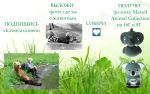 Фотоконкурс от интернет-магазина ″Аванте″ Фотоконкурс от интернет-магазина ″Аванте″