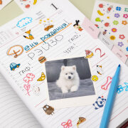 265+  «˸ »  Hatber:   -  !