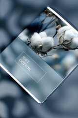 , 5+, 48 , . - ,   (2 )