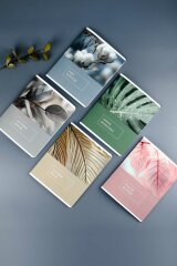 , 5+, 48 , . - ,   (2 )