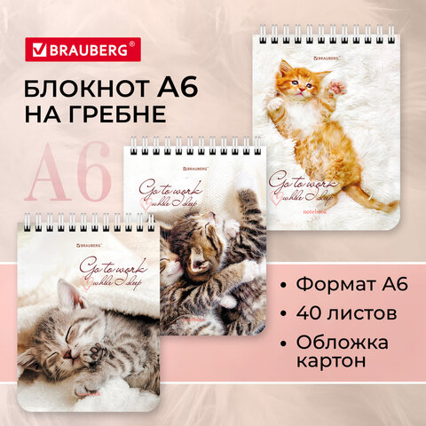 ������� ����� BRAUBERG, ″����� ������″