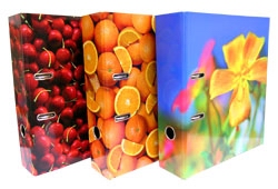 ���� ������������ ������ � Herlitz