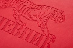 �������� VIVELLA �� Hatber: ��������� 2018.