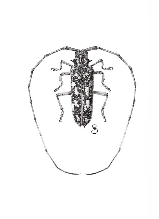 Pigma Micron в науке, медицине, архивах и музеях Pigma Micron в науке, медицине, архивах и музеях