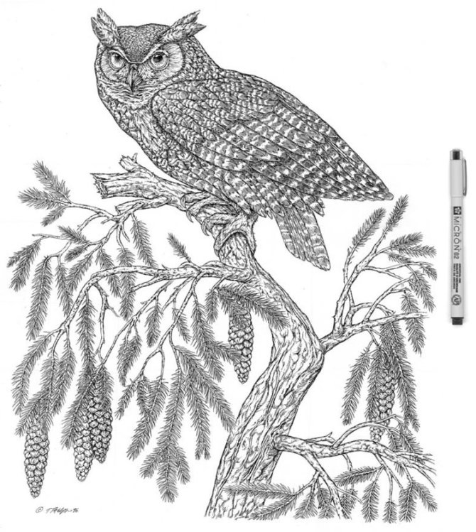 Pigma Micron в науке, медицине, архивах и музеях Pigma Micron в науке, медицине, архивах и музеях