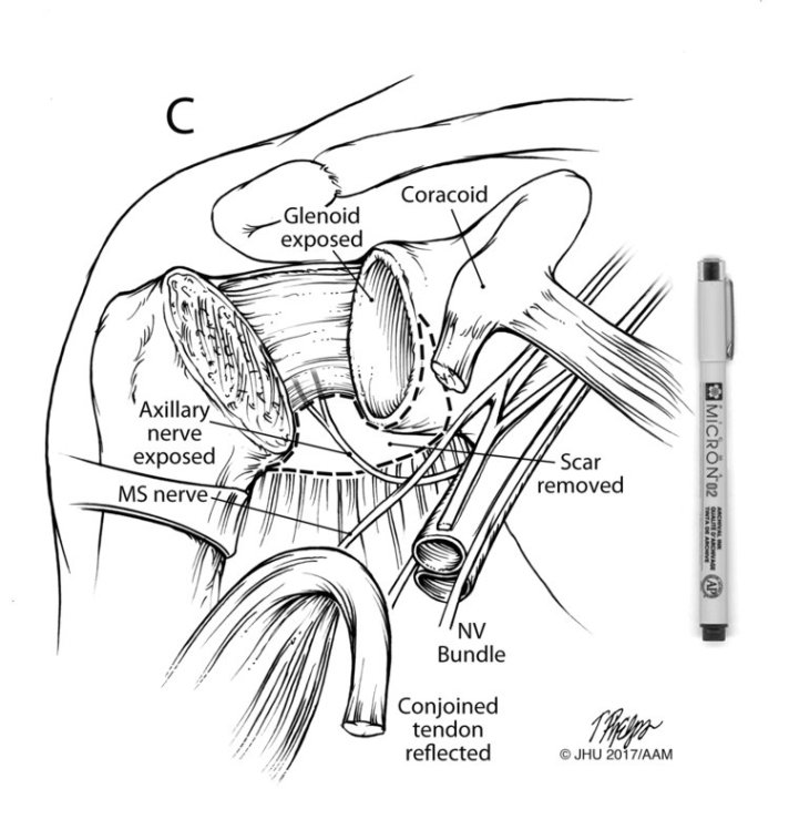 Pigma Micron в науке, медицине, архивах и музеях Pigma Micron в науке, медицине, архивах и музеях