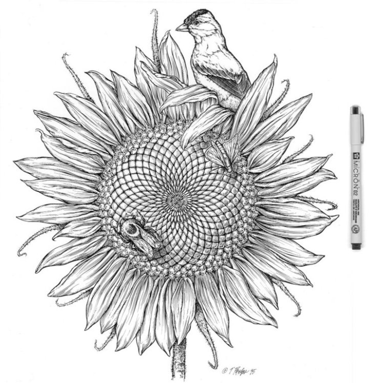Pigma Micron в науке, медицине, архивах и музеях Pigma Micron в науке, медицине, архивах и музеях