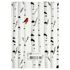 Ежедневник недатированный DIARY арт. 71554 БЕРЕЗА Ежедневник недатированный DIARY арт. 71554 БЕРЕЗА