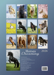    2026 