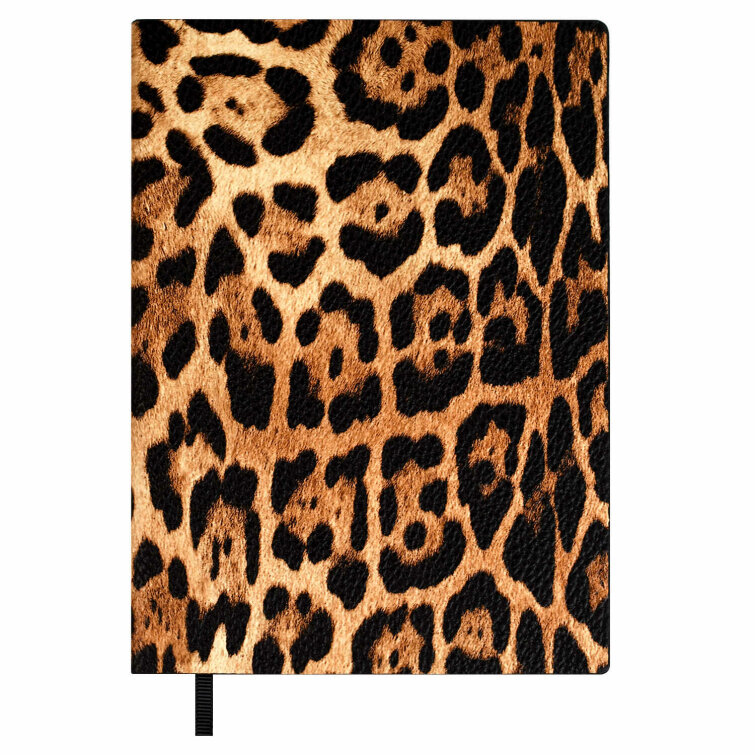   ESCALADA,  6+, 160 .,  ,  ,   ″″