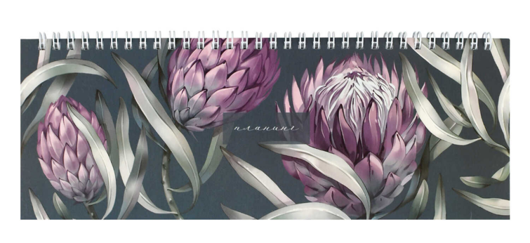 Планинг недатированный, 290х100 мм, 64 листов, гребень по длинной стороне, глянцевая ламинация Планинг недатированный, 290х100 мм, 64 листов, гребень по длинной стороне, глянцевая ламинация