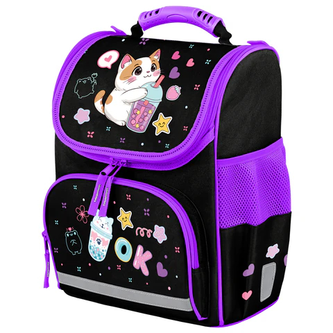 Ранец ПИФАГОР BASIC, ″Хитрый котик″ Ранец ПИФАГОР BASIC, ″Хитрый котик″