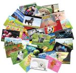 Альбомы для вдохновения от schoolФОРМАТ®