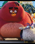���������� ������� Angry Birds �� Hatber.