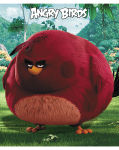 ���������� ������� Angry Birds �� Hatber.