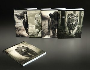 Твин-лак и холодная фольга на тетрадях от COLLEZIONE Твин-лак и холодная фольга на тетрадях от COLLEZIONE