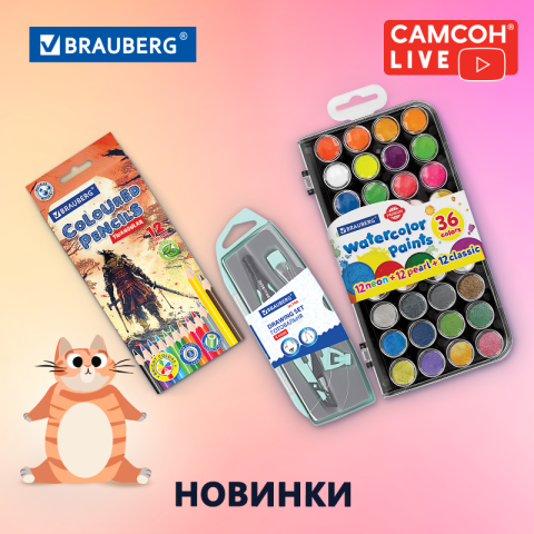 ������ LIVE: ������� ��� ����� � ���������� BRAUBERG