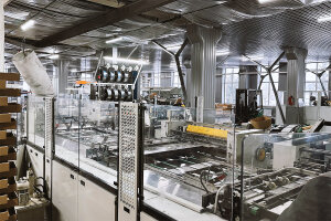 &laquo;���� ����&raquo; ���� ��������������� &laquo;�������������� �������� ��������&raquo;. ������ ���������.