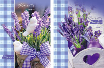 ������-������� ″Romantic �im�″: �������� ������� �������