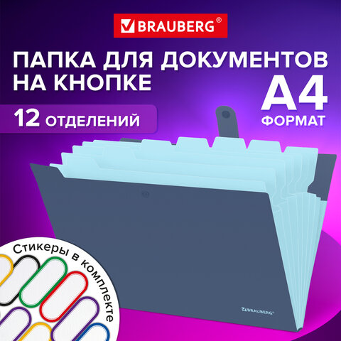 �����-���������� �� ������ BRAUBERG Extra, 12 ���������
