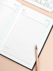  DIARY . 71555  