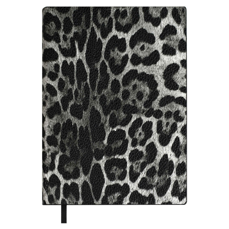   ESCALADA,  6+, 160 .,  ,  ,   ″″