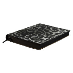   ESCALADA,  6+, 160 .,  ,  ,   ″″