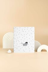 , 5+, 48 , . - ,   (2 )