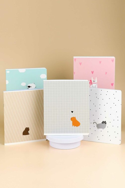 , 5+, 48 , . - ,   (2 )