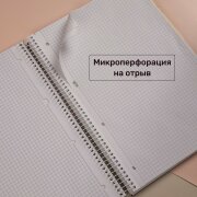 Новинки из коллекции «Вспомнить ВСЁ» от Hatber: тетради А4 Новинки из коллекции «Вспомнить ВСЁ» от Hatber: тетради А4