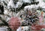 Новогодние новости от Winter Wings. Северное сияние