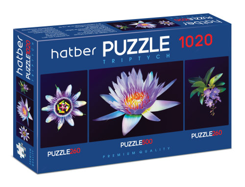 ����� TRIPTYCH �� Hatber Premium.