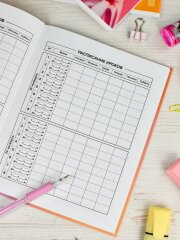 Дневник школьный, А5+, 48 л, ФЕНИКС+ Дневник школьный, А5+, 48 л, ФЕНИКС+