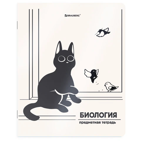 ������� ���������� �������� ���-�������� BRAUBERG