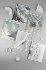 �������, �5+, 48 �, ������ ������� (2 �����), ������� ���������