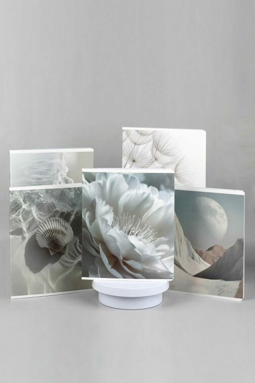 �������, �5+, 48 �, ������ ������� (2 �����), ������� ���������