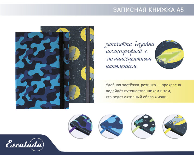 NEW &laquo;Escalada&raquo;. �������� ������ � �������������� ����������