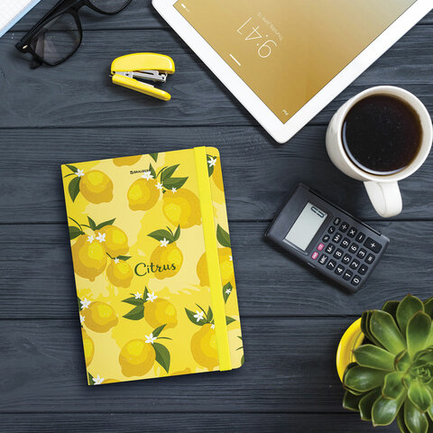 ������� � �������� BRAUBERG ″Lemons″