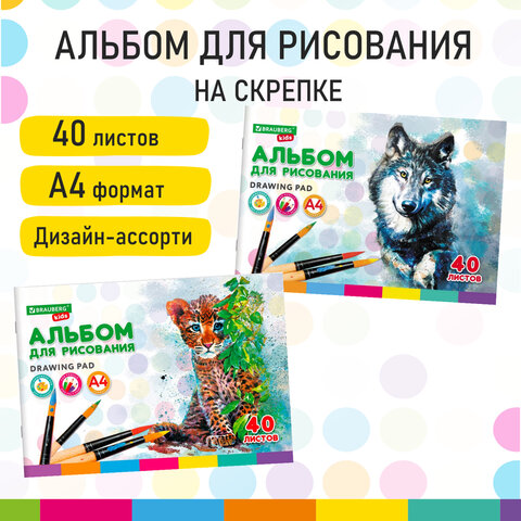 NEW! Альбомы для рисования BRAUBERG KIDS NEW! Альбомы для рисования BRAUBERG KIDS