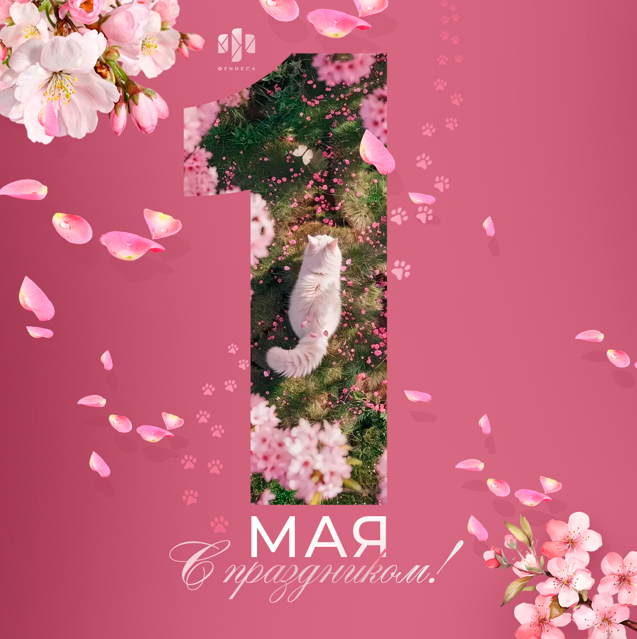 C Днем Весны и Труда, с 1 мая! C Днем Весны и Труда, с 1 мая!
