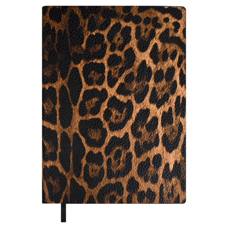   ESCALADA,  6+, 160 .,  ,  ,   ″″
