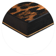   ESCALADA,  6+, 160 .,  ,  ,   ″″