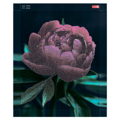 Алмазная мозаика с частичной выкладкой (набор для творчества), ПИОН, 40*50 см, форма страз: круглая, 5 цветов страз, картонная коробка с ручкой Алмазная мозаика с частичной выкладкой (набор для творчества), ПИОН, 40*50 см, форма страз: круглая, 5 цветов страз, картонная коробка с ручкой