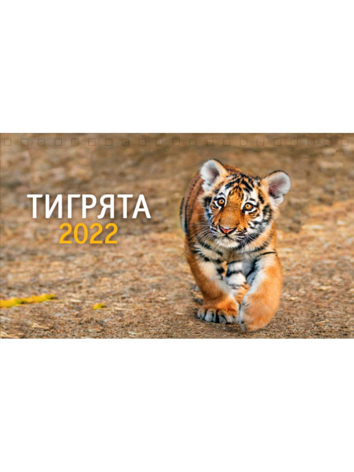 Арт и Дизайн / Календарь настольный Арт и Дизайн 2022 Арт и Дизайн / Календарь настольный Арт и Дизайн 2022