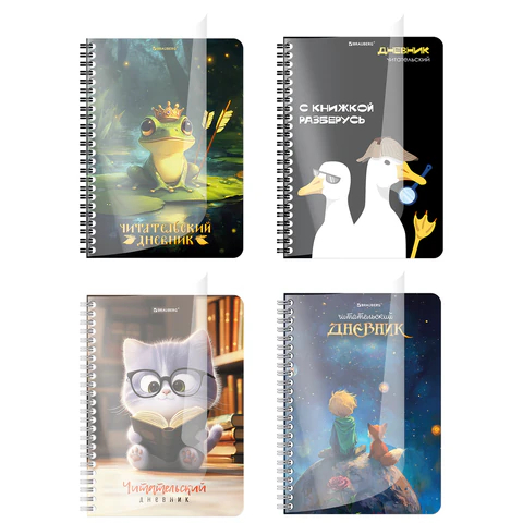 ������� ������������ �5, BRAUBERG, ″����″