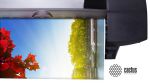 Фотообои CACTUS - интерьер в новом цвете